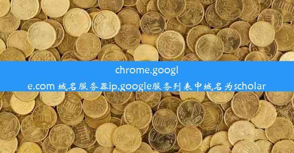 chrome.google.com 域名服务器ip,google服务列表中域名为scholar