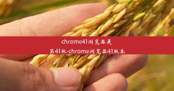 chrome41浏览器是第41版-chrome浏览器41版本