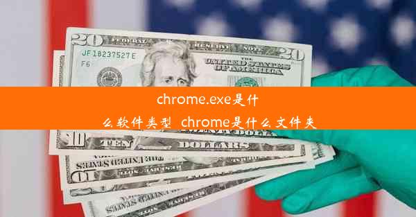 chrome.exe是什么软件类型_chrome是什么文件夹