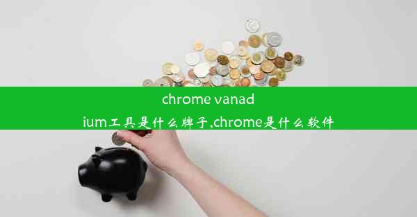 chrome vanadium工具是什么牌子,chrome是什么软件