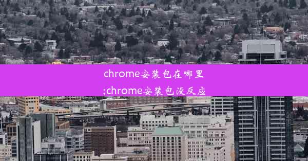 chrome安装包在哪里;chrome安装包没反应