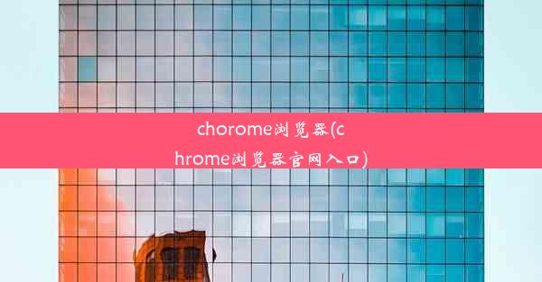 chorome浏览器(chrome浏览器官网入口)