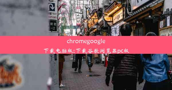 chromegoogle下载电脑版;下载谷歌浏览器pc版