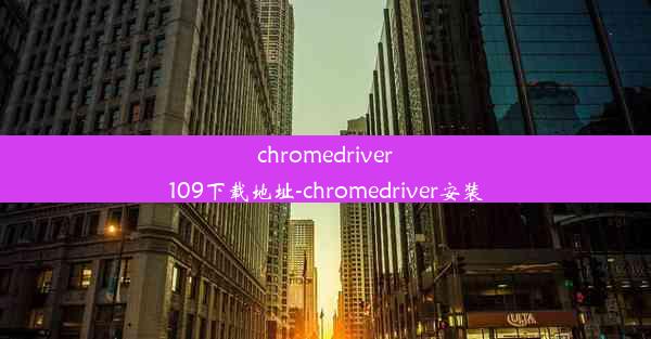 chromedriver109下载地址-chromedriver安装