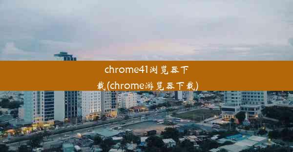 chrome41浏览器下载(chrome游览器下载)