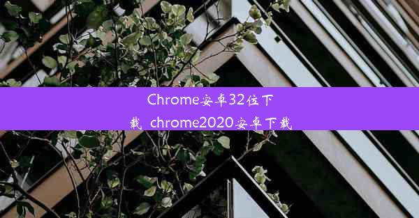 Chrome安卓32位下载_chrome2020安卓下载