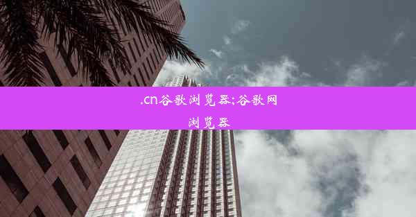 .cn谷歌浏览器;谷歌网浏览器