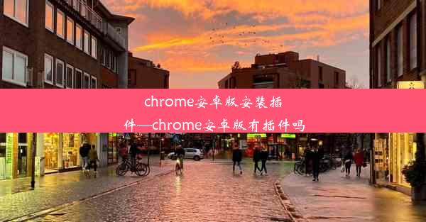 chrome安卓版安装插件—chrome安卓版有插件吗