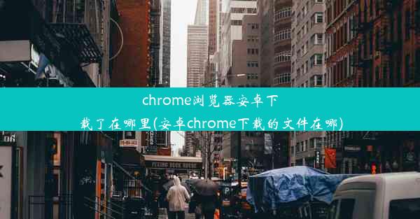 chrome浏览器安卓下载了在哪里(安卓chrome下载的文件在哪)