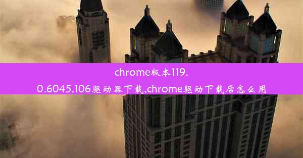 chrome版本119.0.6045.106驱动器下载,chrome驱动下载后怎么用