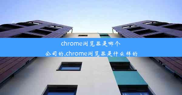 chrome浏览器是哪个公司的,chrome浏览器是什么样的