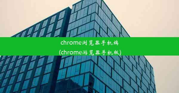 chrome浏览器手机端(chrome游览器手机版)