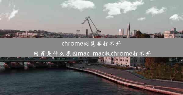 chrome浏览器打不开网页是什么原因mac_mac版chrome打不开