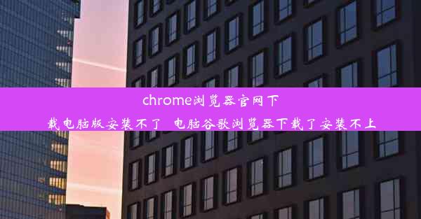 chrome浏览器官网下载电脑版安装不了_电脑谷歌浏览器下载了安装不上