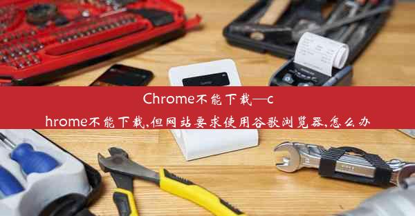 Chrome不能下载—chrome不能下载,但网站要求使用谷歌浏览器,怎么办