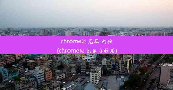 chrome浏览器 内核(chrome浏览器内核为)