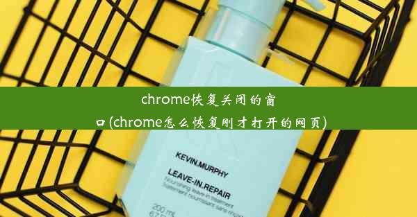 chrome恢复关闭的窗口(chrome怎么恢复刚才打开的网页)