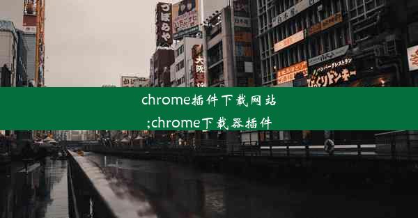 chrome插件下载网站;chrome下载器插件