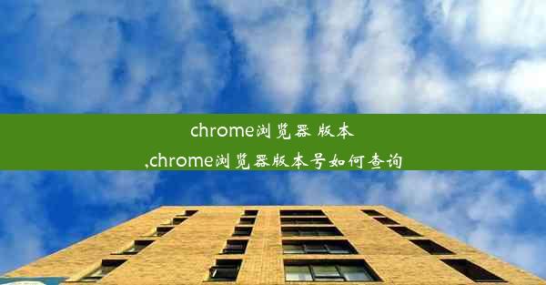 chrome浏览器 版本,chrome浏览器版本号如何查询