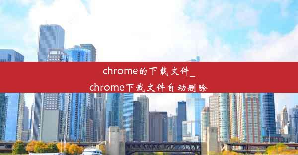 chrome的下载文件_chrome下载文件自动删除