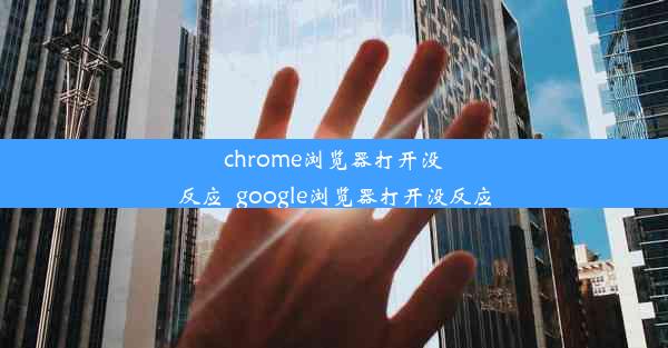 chrome浏览器打开没反应_google浏览器打开没反应