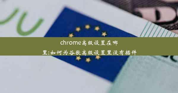 chrome高级设置在哪里;如何为谷歌高级设置里没有插件