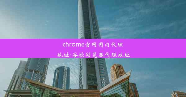 chrome官网国内代理地址-谷歌浏览器代理地址