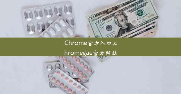 Chrome官方入口,chromegae官方网站