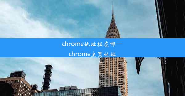 chrome地址栏在哪—chrome主页地址