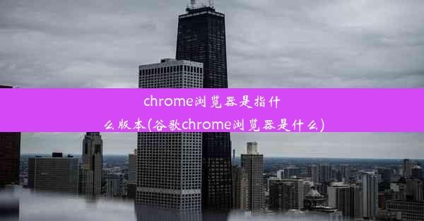 chrome浏览器是指什么版本(谷歌chrome浏览器是什么)