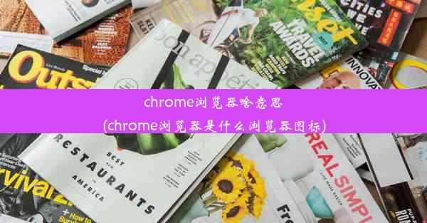 chrome浏览器啥意思(chrome浏览器是什么浏览器图标)