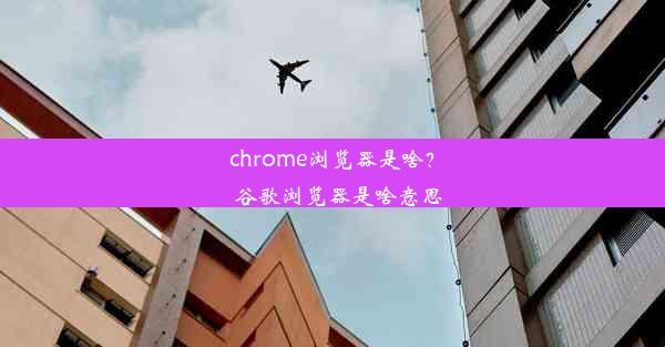 chrome浏览器是啥？_谷歌浏览器是啥意思