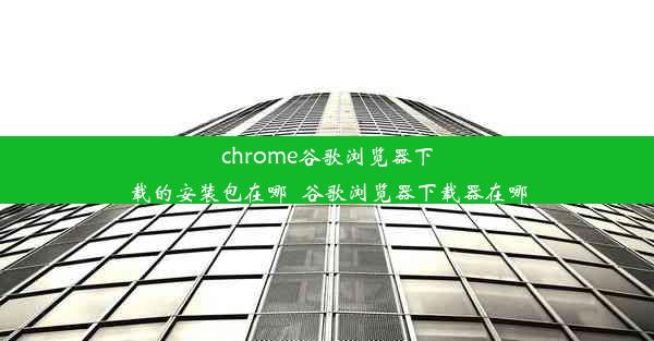 chrome谷歌浏览器下载的安装包在哪_谷歌浏览器下载器在哪