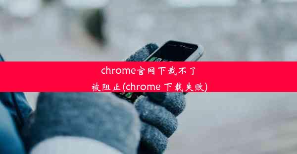 chrome官网下载不了被阻止(chrome 下载失败)