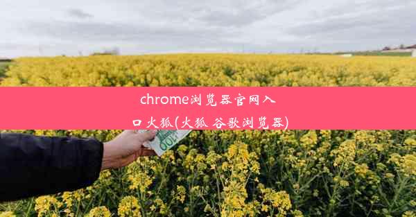 chrome浏览器官网入口火狐(火狐 谷歌浏览器)