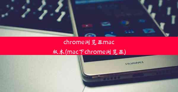 chrome浏览器mac版本(mac下chrome浏览器)