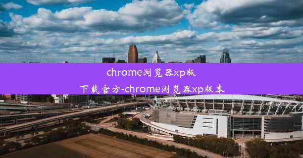 chrome浏览器xp版下载官方-chrome浏览器xp版本