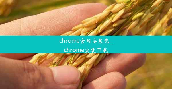 chrome官网安装包_chrome安装下载