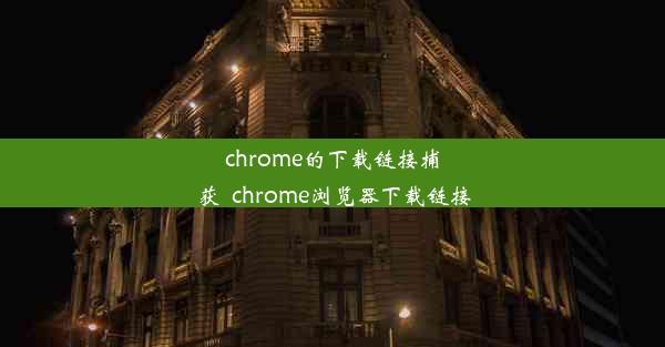 chrome的下载链接捕获_chrome浏览器下载链接