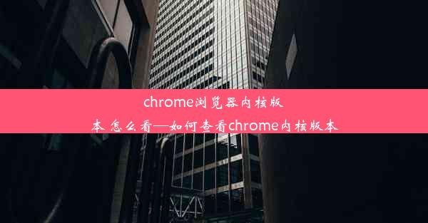 chrome浏览器内核版本 怎么看—如何查看chrome内核版本