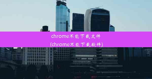 chrome不能下载文件(chrome不能下载软件)