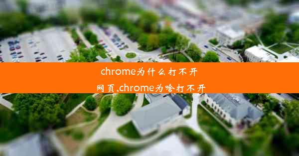 chrome为什么打不开网页,chrome为啥打不开