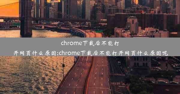 chrome下载后不能打开网页什么原因;chrome下载后不能打开网页什么原因呢