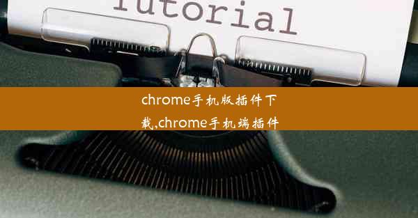 chrome手机版插件下载,chrome手机端插件