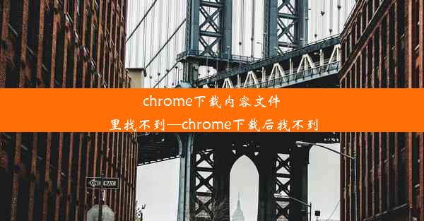 chrome下载内容文件里找不到—chrome下载后找不到