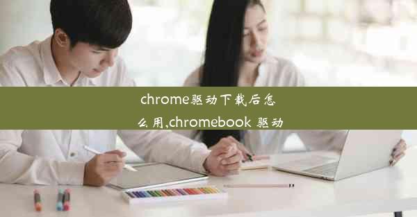 chrome驱动下载后怎么用,chromebook 驱动