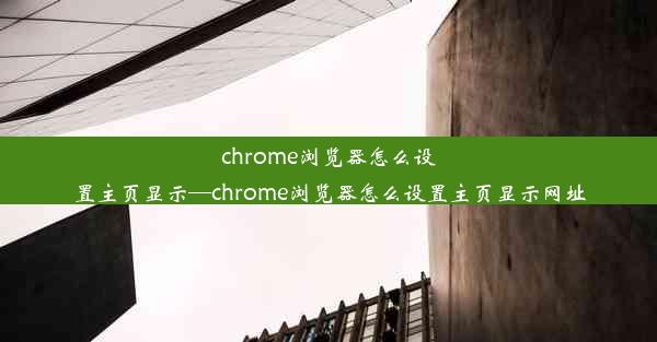 chrome浏览器怎么设置主页显示—chrome浏览器怎么设置主页显示网址