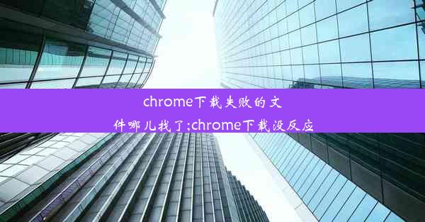 chrome下载失败的文件哪儿找了;chrome下载没反应