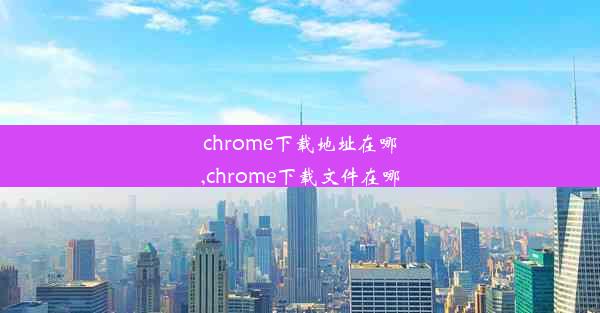 chrome下载地址在哪,chrome下载文件在哪