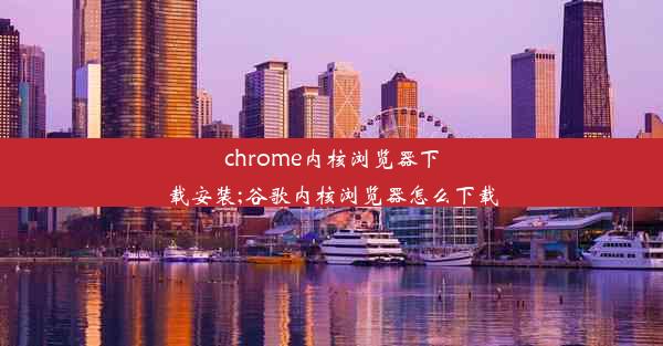 chrome内核浏览器下载安装;谷歌内核浏览器怎么下载